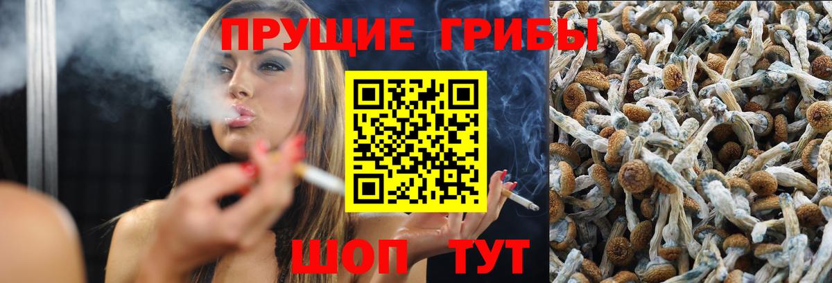 Галлюциногенные грибы Magic Shrooms  Вход с VPN  Якутск 